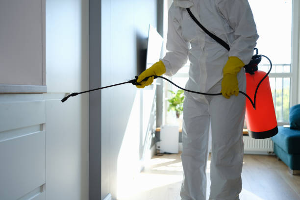 Real Estate Pest Inspections in Atlantic, IA